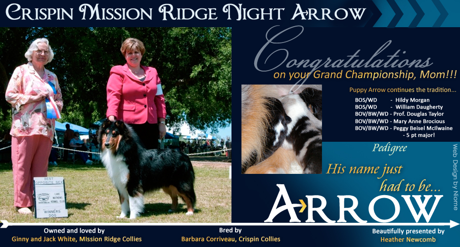 Mission Ridge Collies -- Crispin Mission Ridge Night Arrow