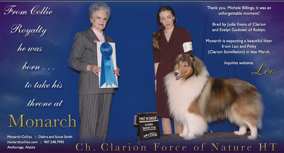 Monarch Collies -- CH Clarion Force Of Nature HT