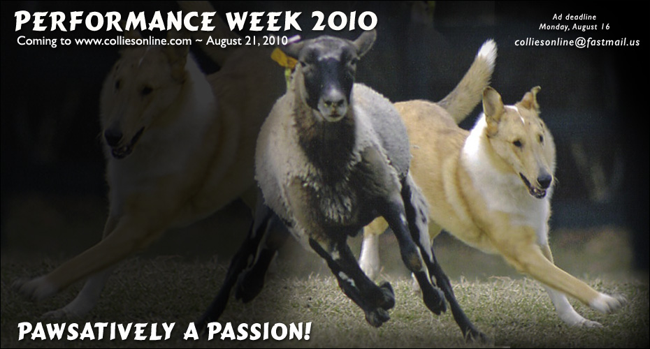 Performance Week 2010 -- Pawsatively A Passion!