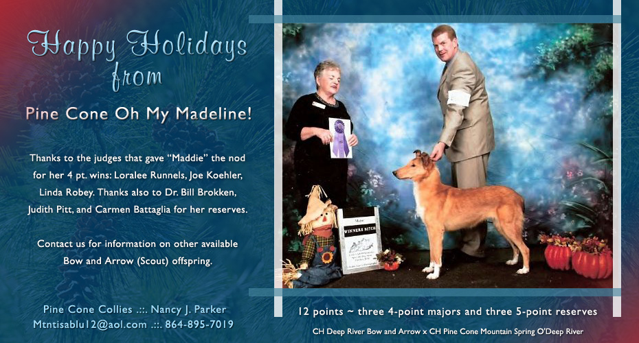 Pine Cone Collies -- Pine Cone Oh My Madeline!