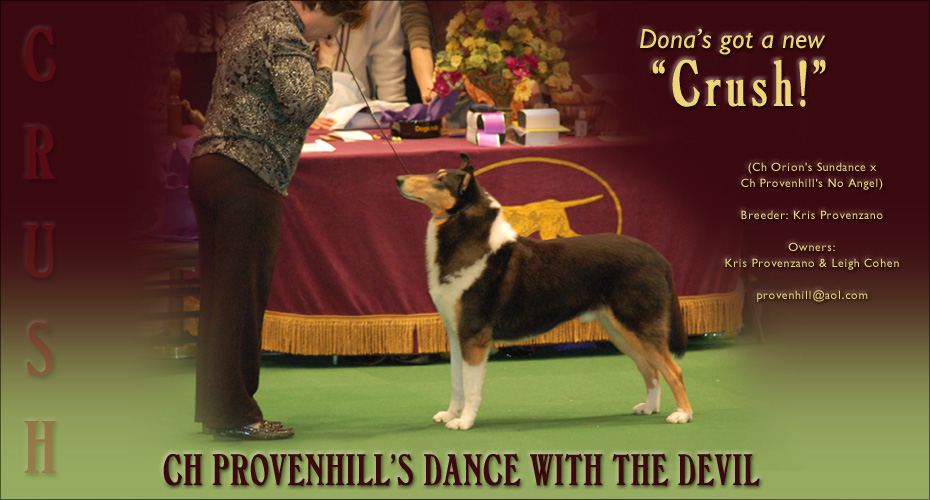 Provenhill Collies -- CH Provenhill's Dance With The Devil
