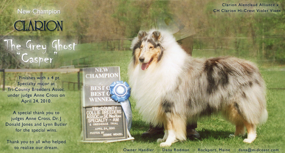 Dana Rodman -- CH Clarion The Grey Ghost "Casper"