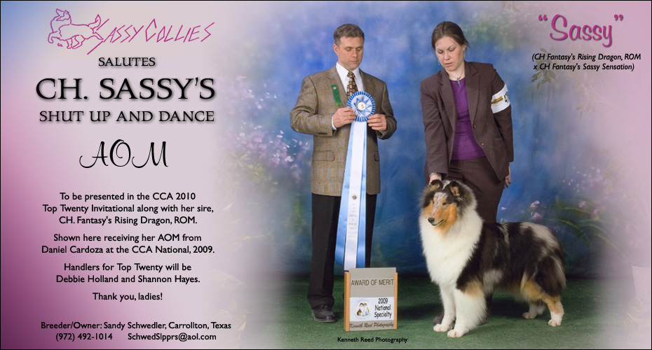 Sassy Collies -- CH Sassy's Shut Up And Dance