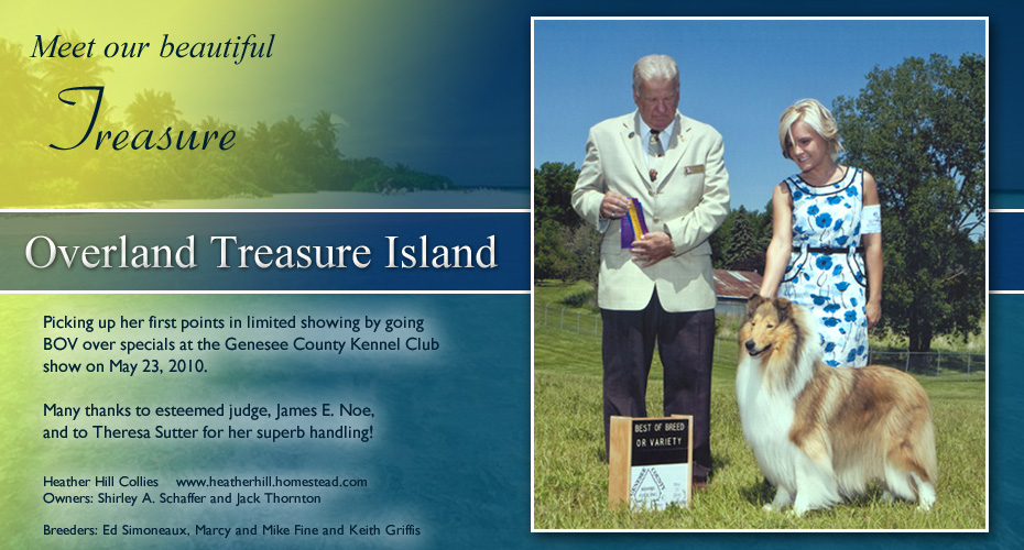 Shirley Schaffer and Jack Thornton -- Overland Treasure Island