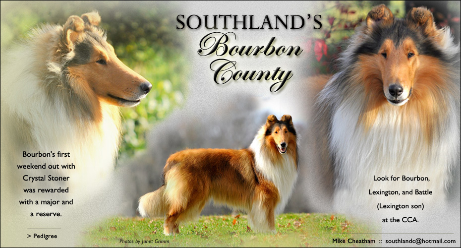 Southland Collies -- Southland's Bourbon Country