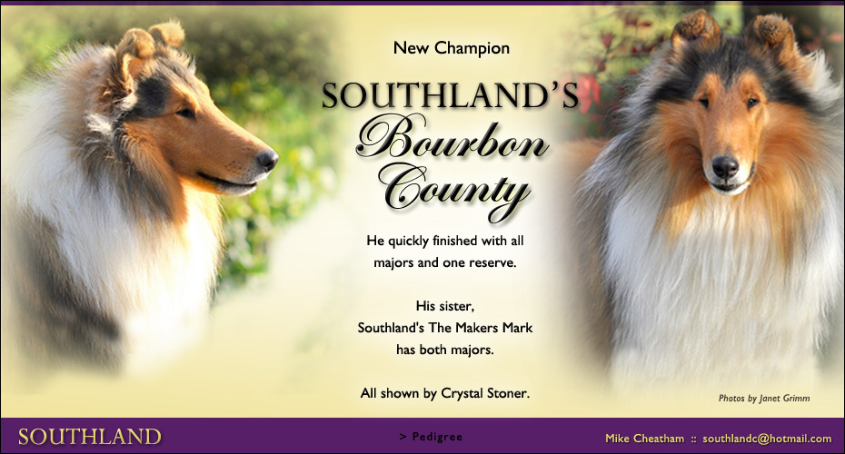 Southland Collies -- CH Southland's Bourbon County