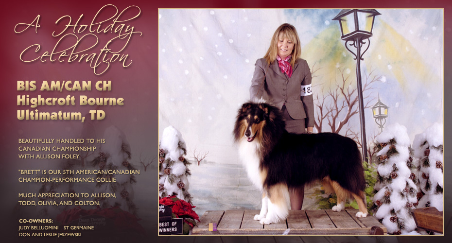 St Germaine Collies / Highcroft Collies -- AM/CAN CH Highcroft Bourne Ultimatum, TD