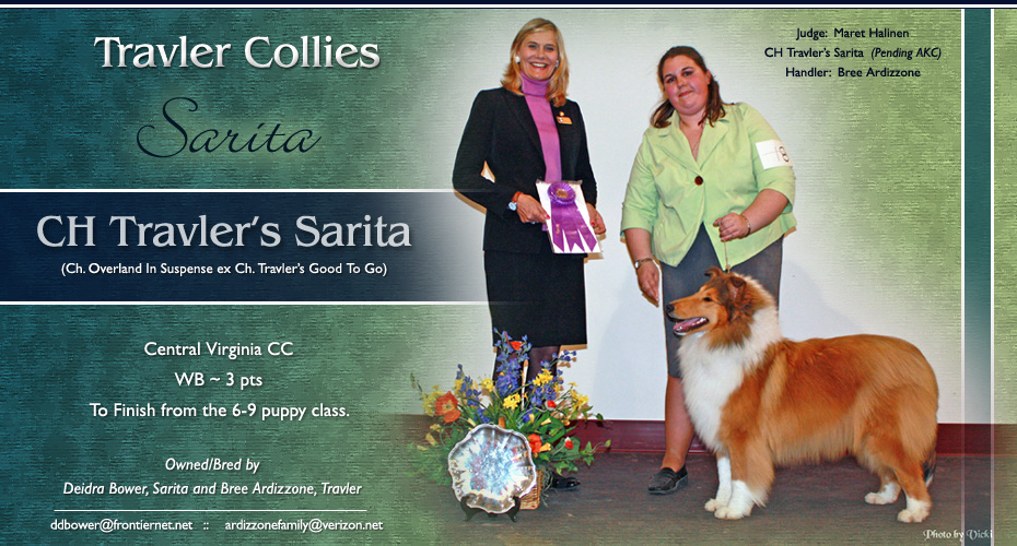 Travler Collies / Sarita Collies -- CH Travler's Sarita