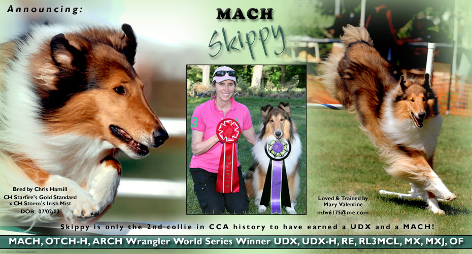 Mary Valentine -- MACH, OTCH-H, ARCH Wrangler World Series Winner UDX, UDX-H, RE, RL3MCL, MX, MXJ, OF