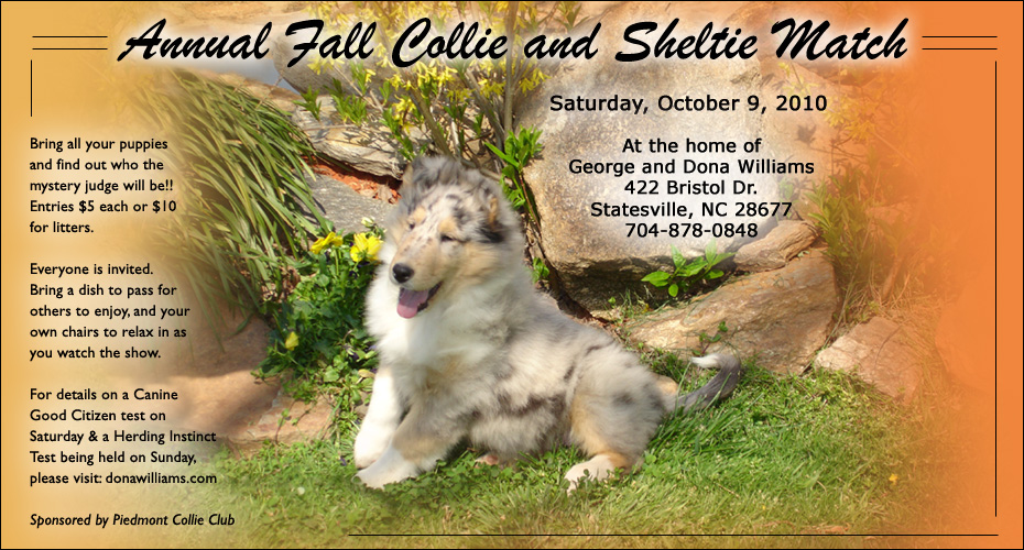 George and Dona Williams -- Annual Fall Collie and Sheltie Match
