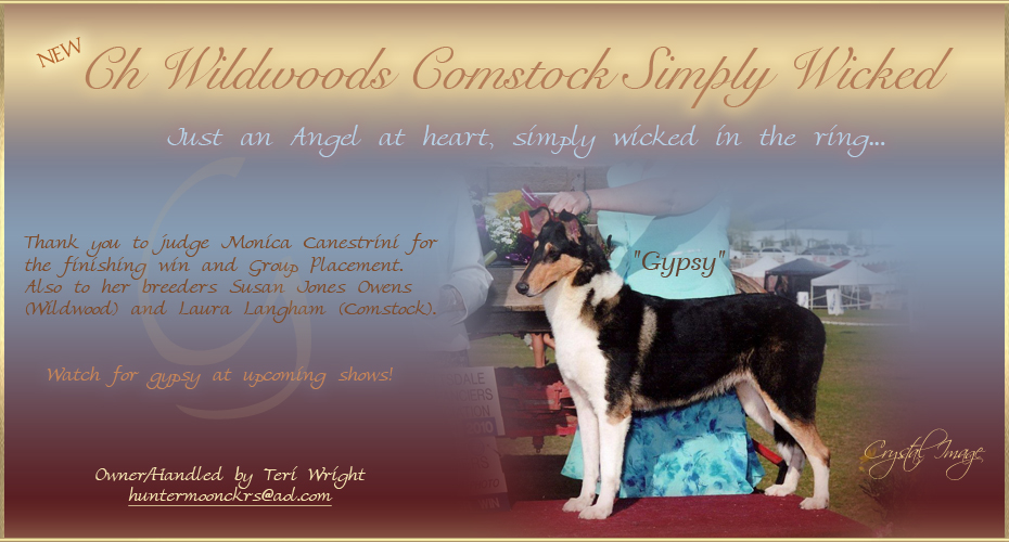 Teri Wright -- CH Wildwoods Comstock Simply Wicked