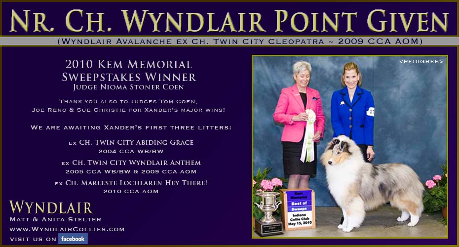 Wyndlair Collies -- Wyndlair Point Given