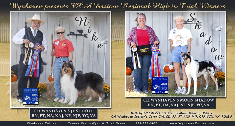Wynhaven Collies -- CH Wynhaven's Just Do It, RN, PT, NA, NAJ, NF, NJP, VC, VA and  CH Wynhaven's Moon Shadow, RN, PT, OA, NAJ, NF, NJP, VC, VA