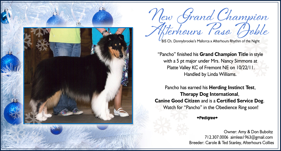 Afterhours Collies -- GCH Afterhours Paso Doble, HIT