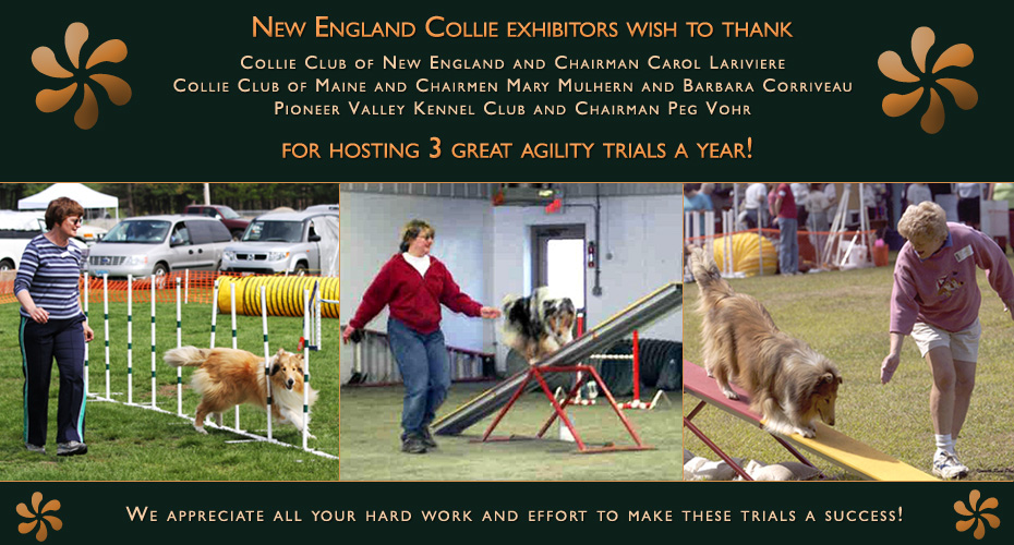 New England Collie Exhibitors -- Thank you fo Carol Lariviere, Mary Mulhern and Barbara Corriveau