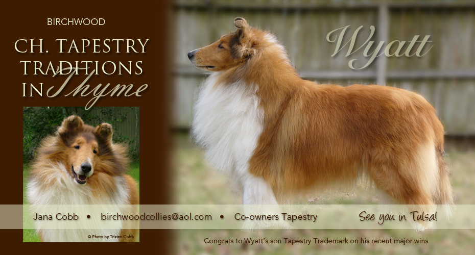 Birchwood Collies -- CH Tapestry Traditions In Thyme
