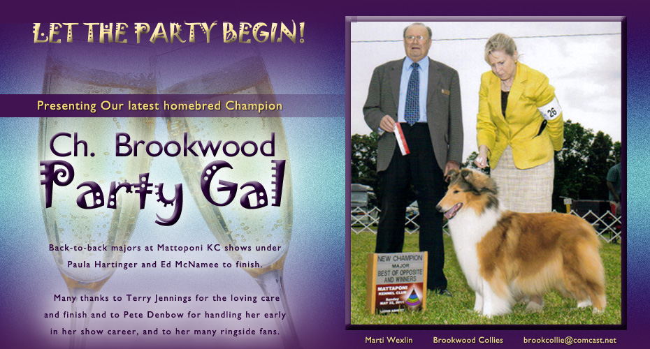 Brookwood Collies -- CH Brookwood Party Gal