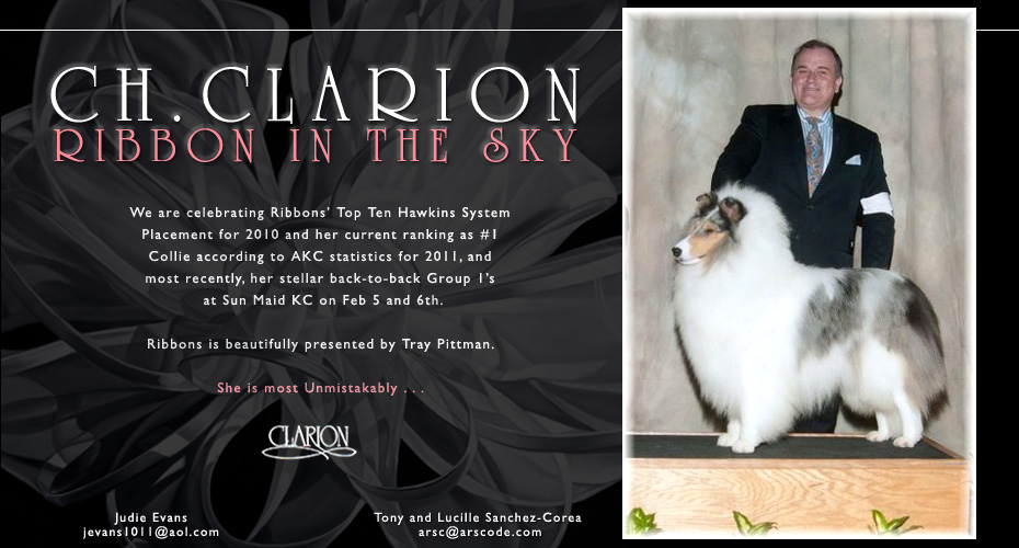 Clarion Collies -- CH Clarion Ribbon In The Sky