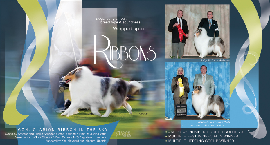 Clarion Collies -- GCH Clarion Ribbon In The Sky