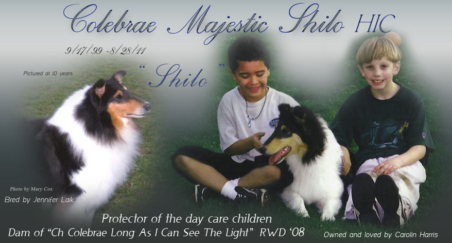 Carolin Harris -- Colebrae Majestic Shilo, HIC