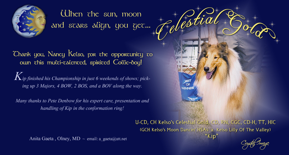 Anita Gaeta -- U-CD CH Kelso's Celestial Gold, CD, RN, CGC, CD-H, TT, HIC