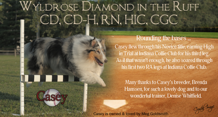 Meg Goldsmith -- Wyldrose Diamond In The Ruff, CD, CD-H, RN, HIC, CGC