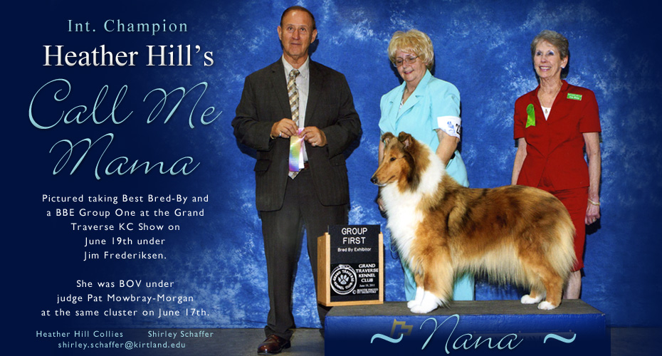 Heather Hill Collies -- INT CH Heather Hill's Call Me Mama