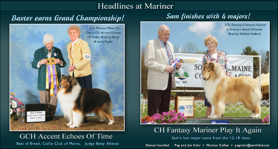 Mariner Collies -- GCH Accent Echoes of Time and CH Fantasy Mariner Play It Again