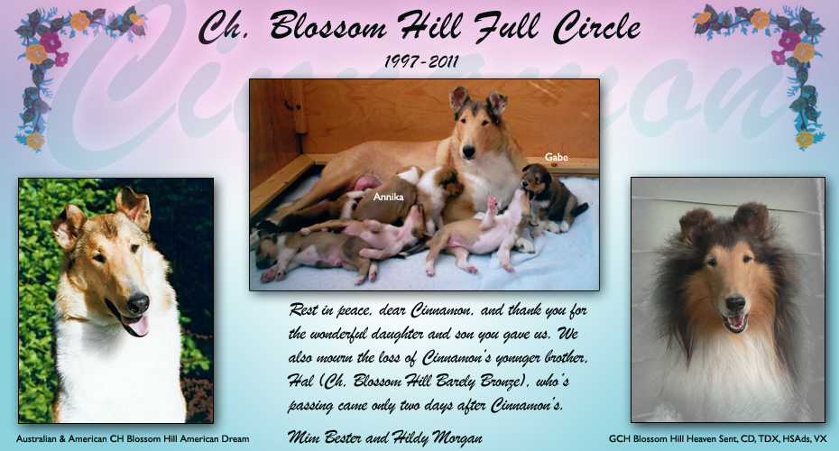 Mim Bester and Hildy Morgan -- In loving Memory of CH Blossom Hill Full Circle and CH Blossom Hill Barely Bronze