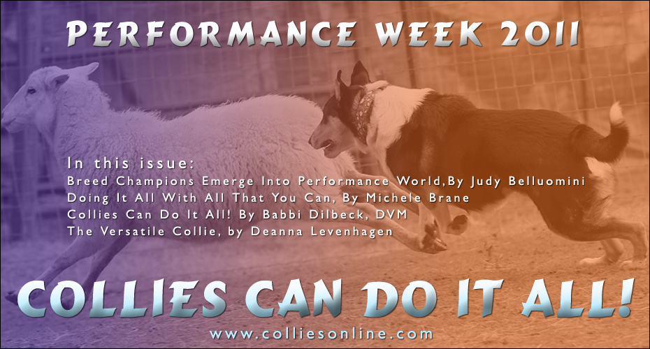Collies Online -- Performance Week 2011