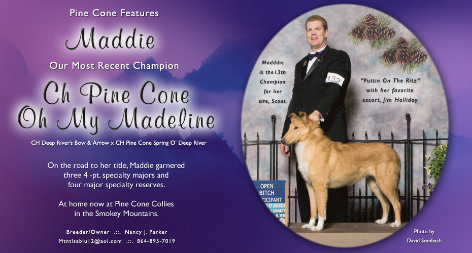 Pine Cone Collies -- CH Pine Cone Oh My Madeline