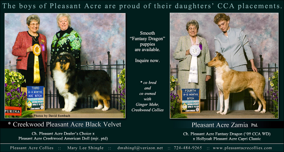 Pleasant Acre Collies -- Creekwood Pleasant Acre Black Velvet and Pleasant Acre Zamia