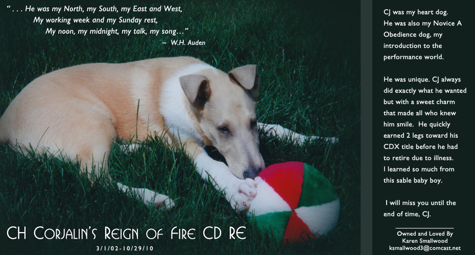 Karen Smallwood -- CH Corjalin’s Reign Of Fire CD RE