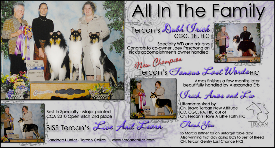 Tercan Collies -- Tercan's Dubh Irick, CH Tercan's Famous Last Words, HIC and Tercan's Live And Learn