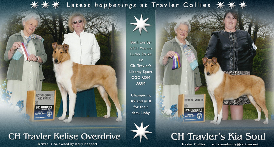 Travler Collies -- CH Travler Kelise Overdrive and CH Travler's Kia Soul