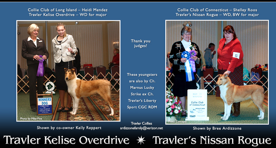 Travler Collies -- Travler Kelise Overdrive and Travler's Nissan Rogue