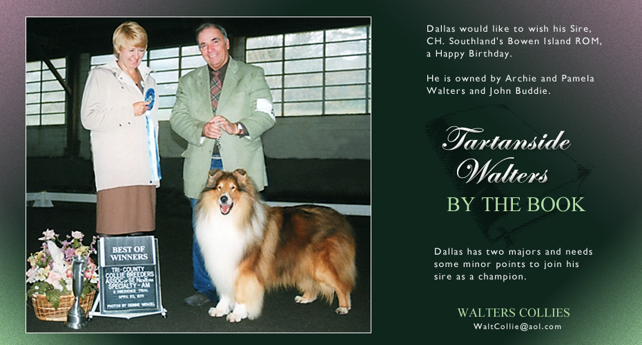 Walters Collies -- Tartanside Walters By The Book