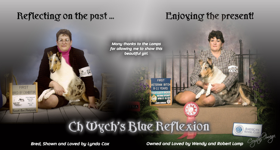 Lynda Cox -- CH Wych's Blue Reflexion