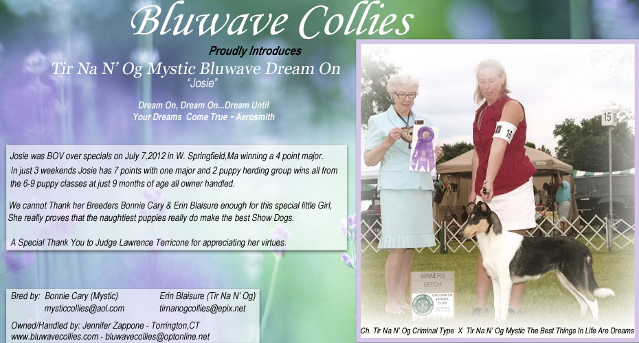 Bluwave Collies-- Tir Na N' Og Mystic Bluwave Dream On