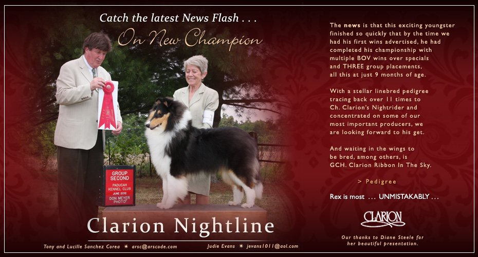 Clarion Collies -- CH Clarion Nightline
