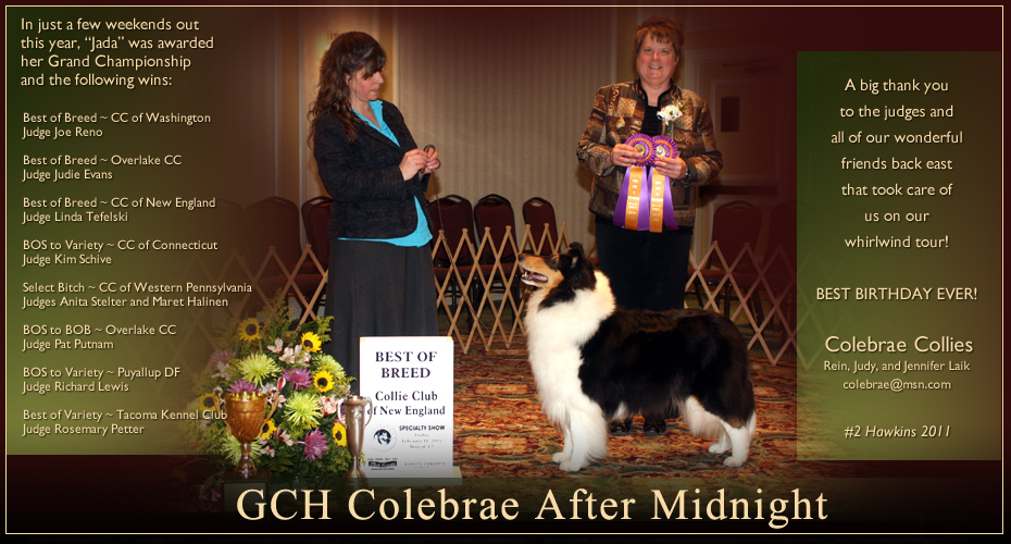 Colebrae Collies -- GCH Colebrae After Midnight