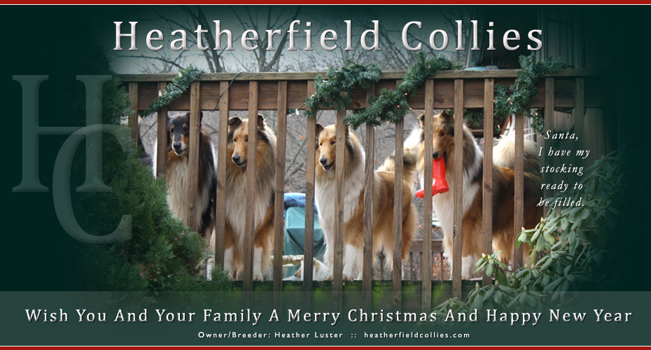 Heatherfield Collies 