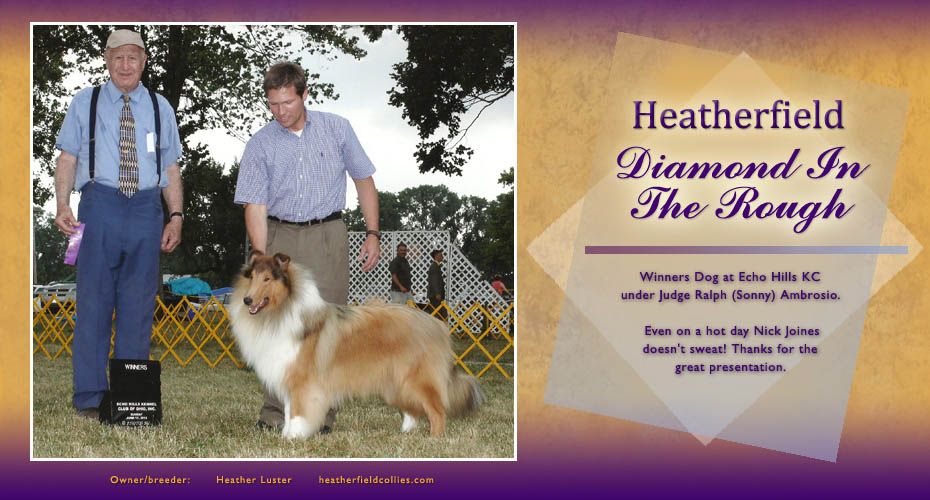 Heatherfield Collies -- Heatherfield Diamond In The Rough
