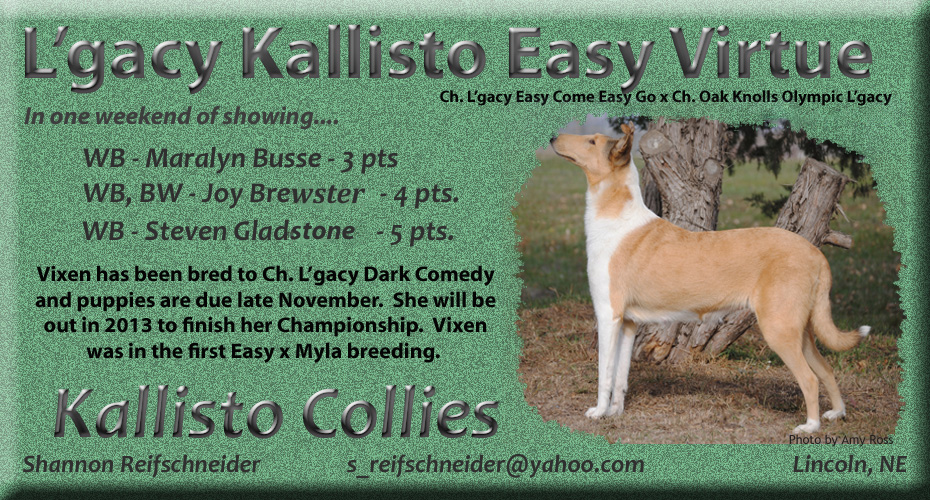 Kallisto Collies -- L'gacy Kallisto Easy Virtue