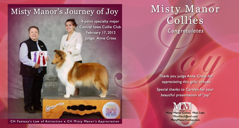 Misty Manor Collies -- Misty Manor's Journey Of Joy
