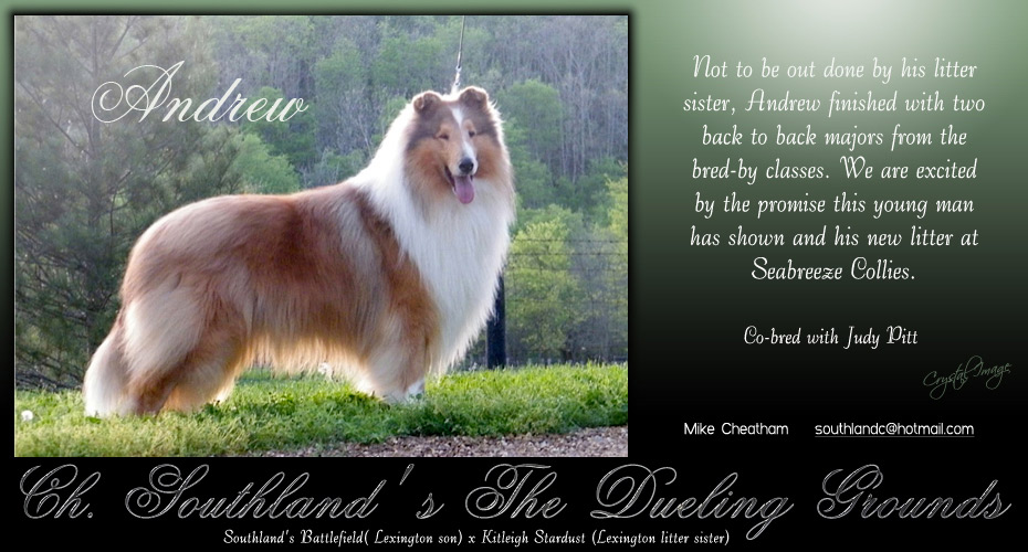 Southland Collies -- CH Southland's The Dueling Grounds