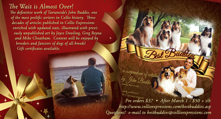 Collie Expressions - Beautiful Mesh ex-pen and crate wraps