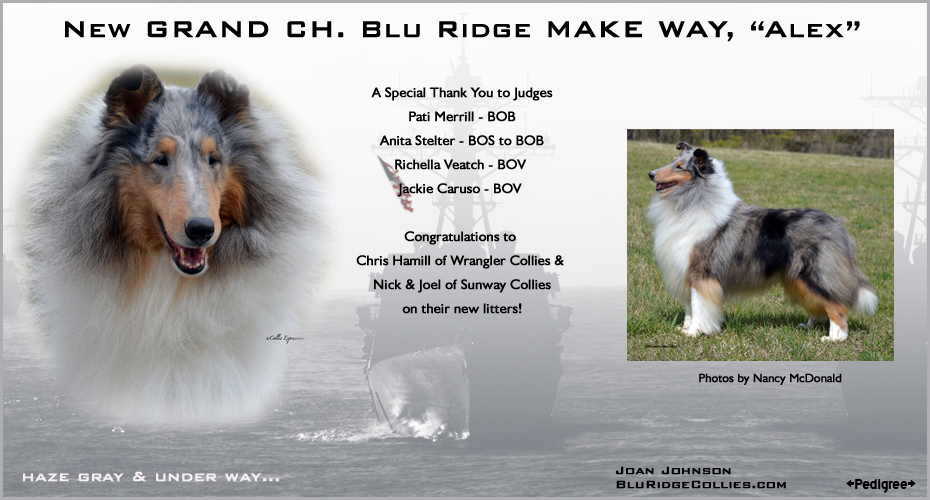 Blu Ridge Collies -- GCH Blu Ridge Make Way