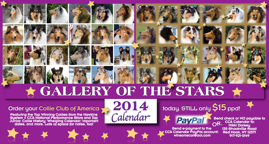 Collie Club Of America 2014 Calendar