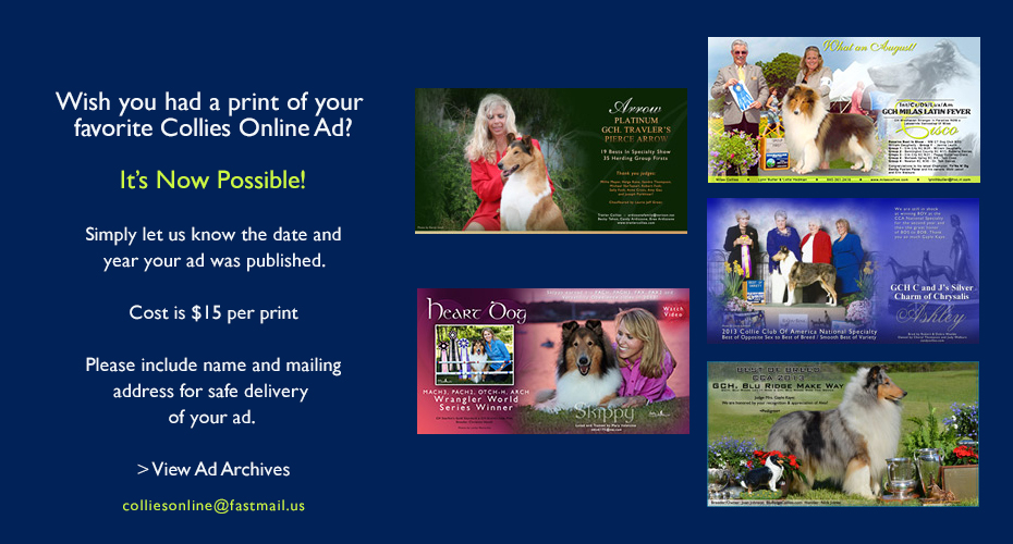 Collies Online -- Order a print of your ad